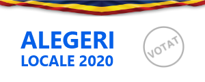 Alegeri locale 2020